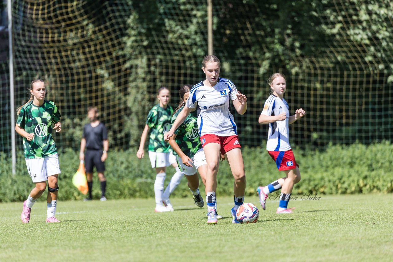Bild 178 - wBJ Hamburger SV - VfL Wolfsburg : Ergebnis: 5:1